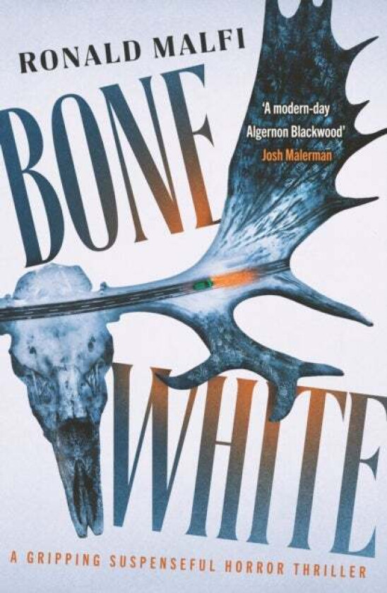 Bone White av Ronald Malfi