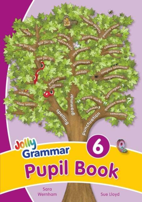 Grammar 6 Pupil Book av Sara Wernham, Sue Lloyd