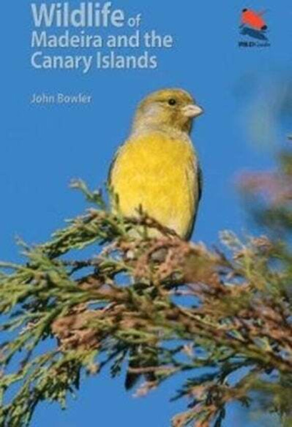 Wildlife of Madeira and the Canary Islands av John Bowler