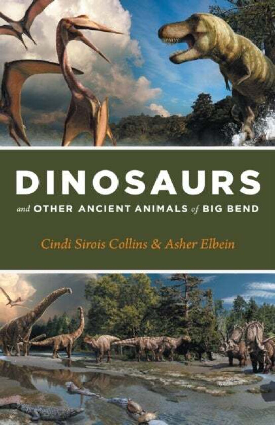 Dinosaurs and Other Ancient Animals of Big Bend av Cindi Sirois Collins, Asher Elbein, Julius Csotonyi