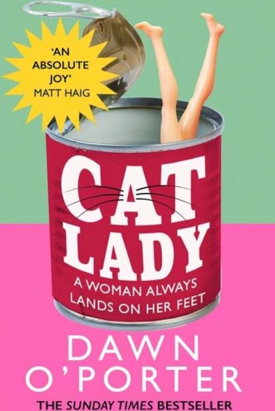 Cat Lady av Dawn O¿Porter