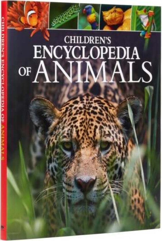Children's Encyclopedia of Animals av Dr Michael Leach, Dr Meriel Lland