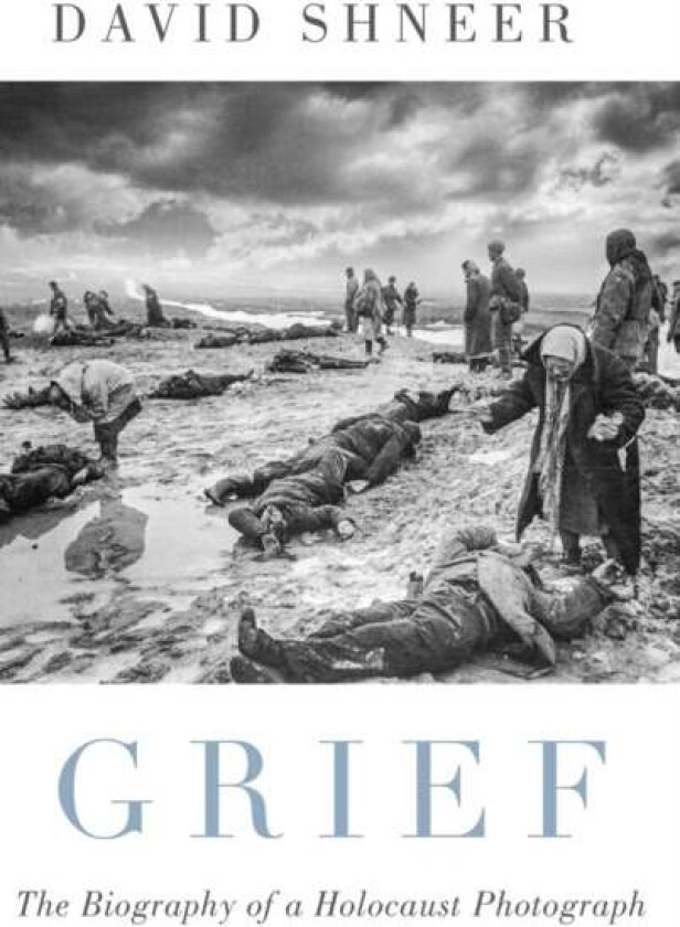 Grief av David (Louis P. Singer Chair in Jewish History and Professor of History Jewish Studies and Religious Studies Louis P. Singer Chair in Jewish