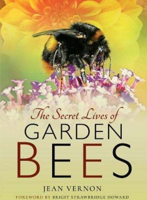 The Secret Lives of Garden Bees av Jean Vernon