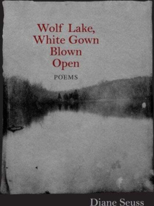 Wolf Lake, White Gown Blown Open av Diane Seuss