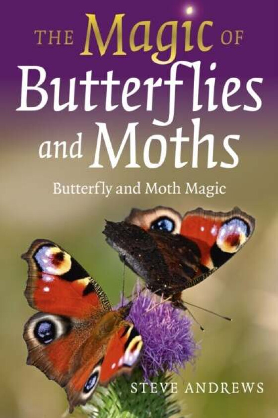 Magic of Butterflies and Moths, The av Steve Andrews