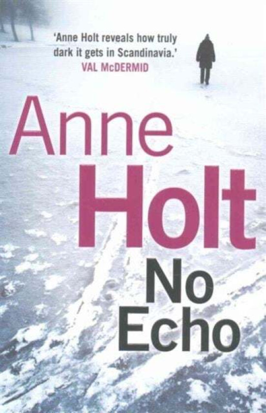 No Echo av Anne (Author) Holt