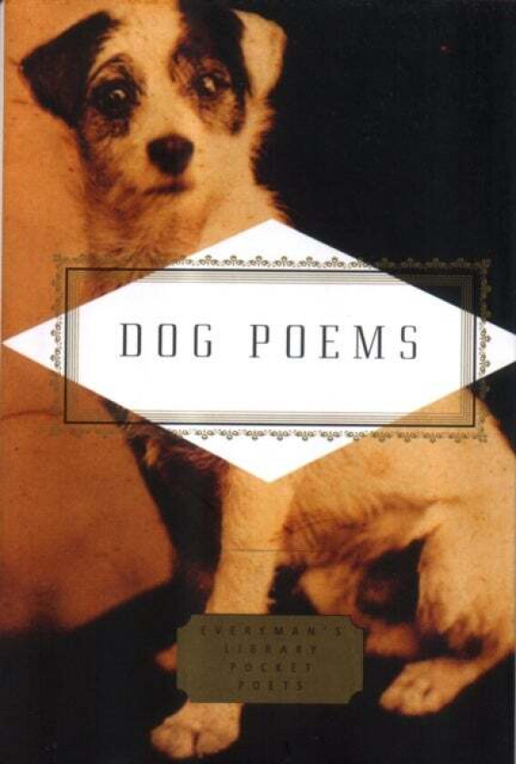 Dog Poems av Carmela Ciuraru