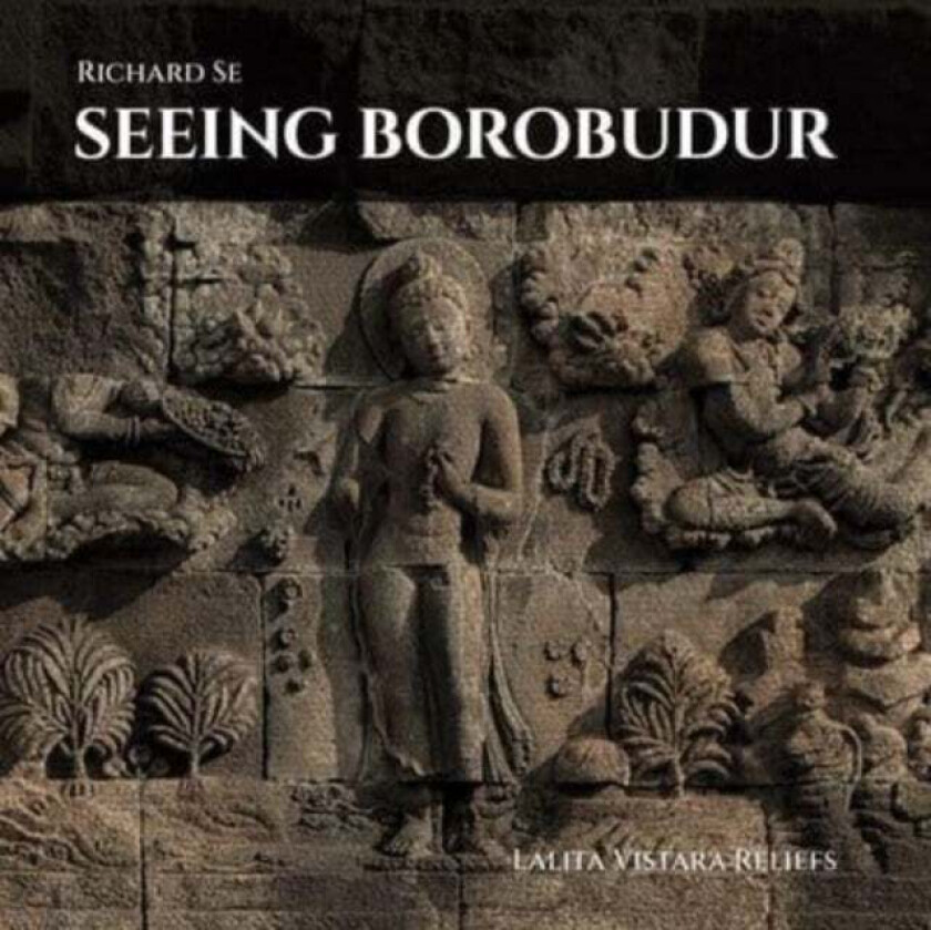 Seeing Borobudur av Richard Se, T.K. Sabapathy