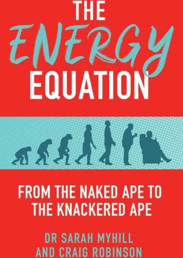 The Energy Equation av Dr. Sarah Myhill, Craig Robinson