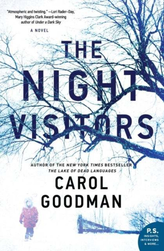 The Night Visitors av Carol Goodman