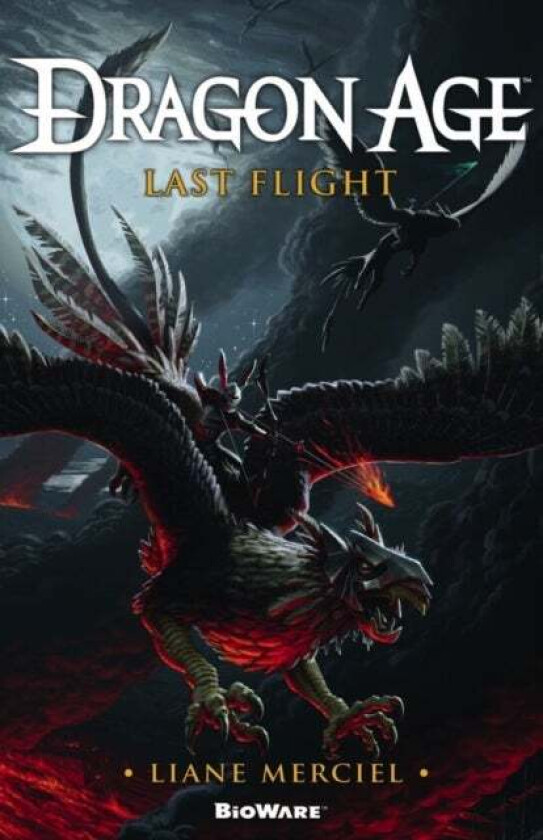 Dragon Age, Last Flight av Liane Merciel