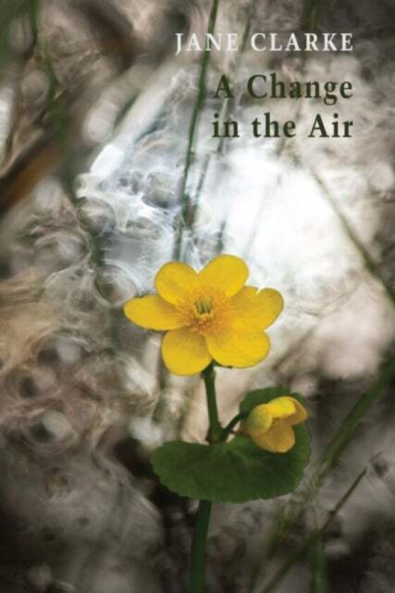 A Change in the Air av Jane Clarke