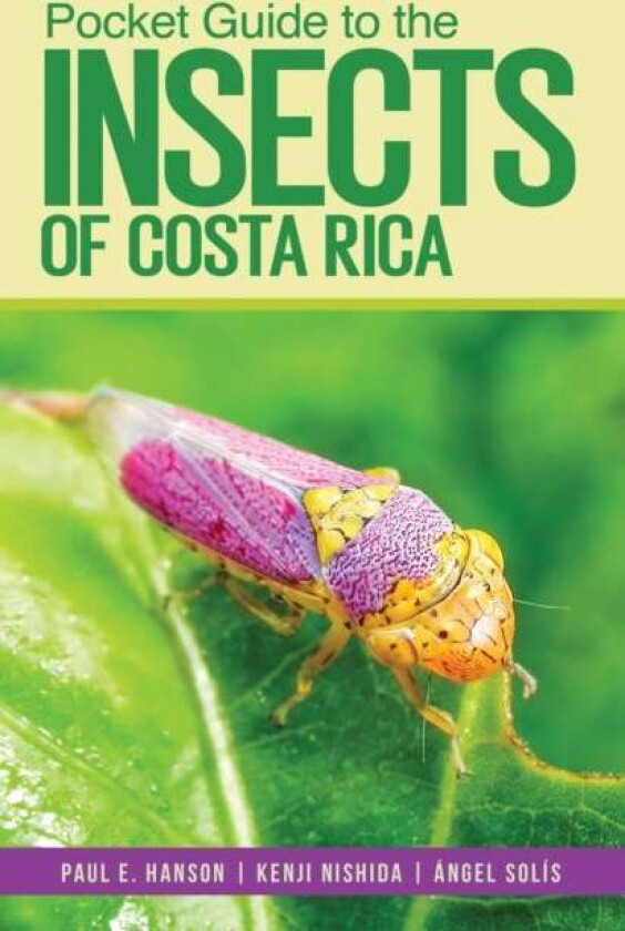 Pocket Guide to the Insects of Costa Rica av Paul Hanson, Kenji Nishida, Angel Solis