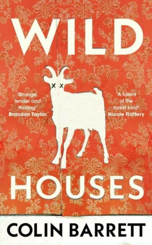 Wild Houses av Colin Barrett