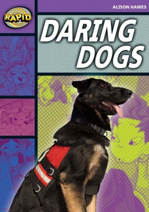 Rapid Stage 1 Set B: Daring Dogs(Series 1) av Alison Hawes