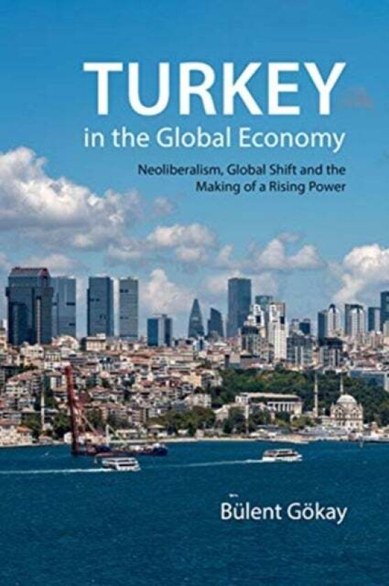 Turkey in the Global Economy av Professor Bulent (Keele University) Goekay