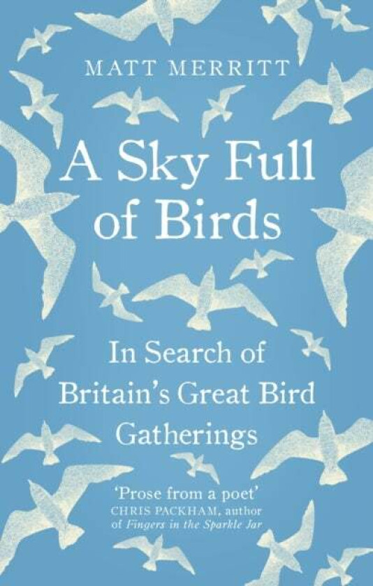 A Sky Full of Birds av Matt Merritt