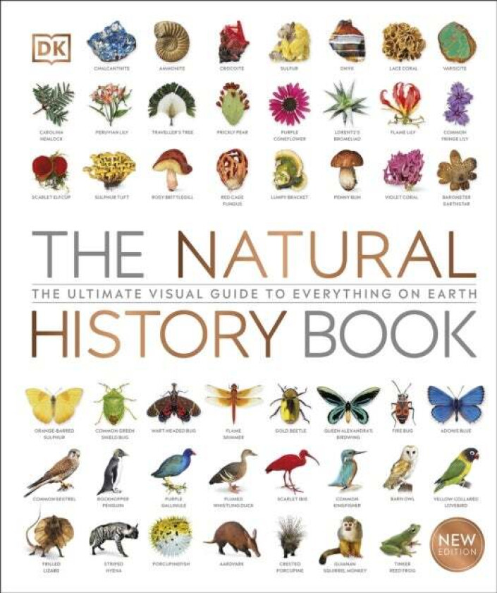 The Natural History Book av DK