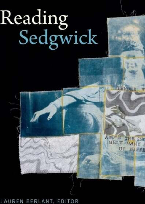 Reading Sedgwick