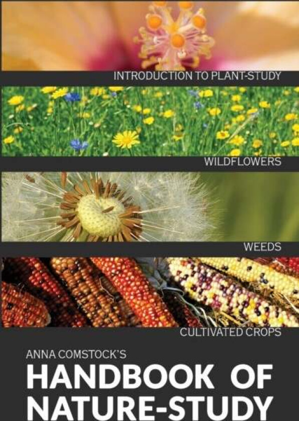 The Handbook Of Nature Study in Color - Wildflowers, Weeds & Cultivated Crops av Anna B Comstock