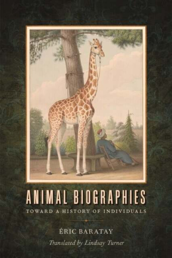 Animal Biographies av Eric Baratay