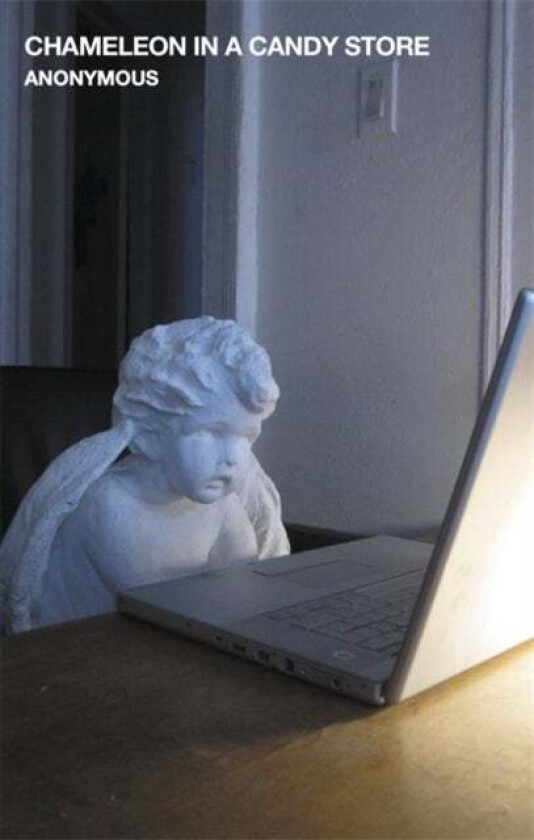 Chameleon in a Candy Store av Anonymous