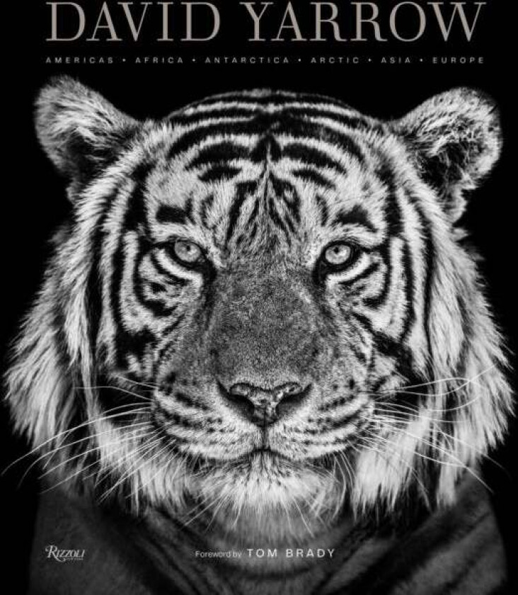 David Yarrow Photography av David Yarrow, Tom Brady