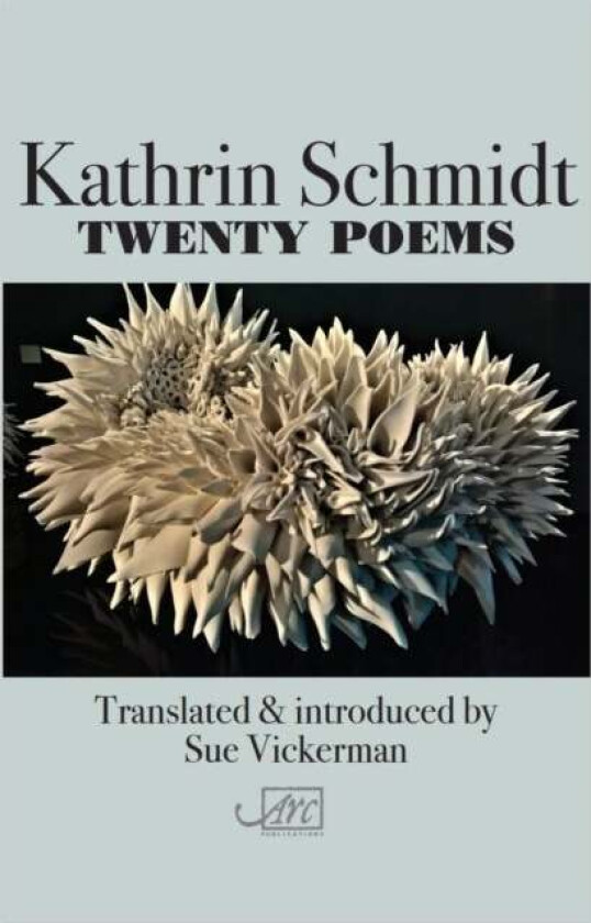 Twenty Poems av Kathrin Schmidt