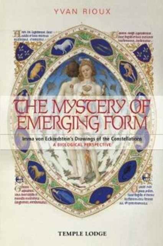 The Mystery of Emerging Form av Yvan Rioux