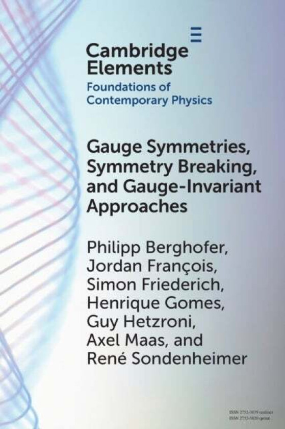 Gauge Symmetries, Symmetry Breaking, and Gauge-Invariant Approaches av Philipp (Universitat Graz Austria) Berghofer, Jordan (Universite de Mons Belgiu