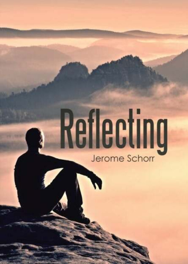 Reflecting av Jerome Schorr