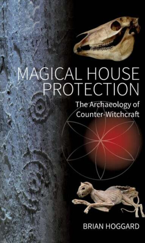 Magical House Protection av Brian Hoggard