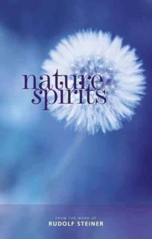 Nature Spirits av Rudolf Steiner