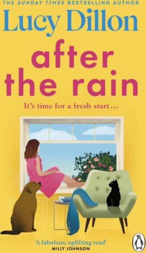 After the Rain av Lucy Dillon
