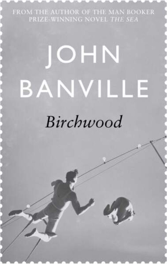 Birchwood av John Banville