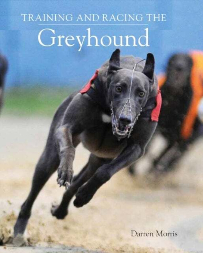 Training and Racing the Greyhound av Darren Morris