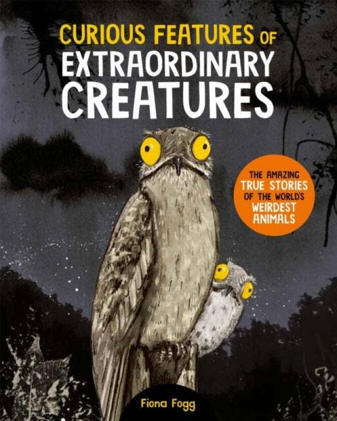 Curious Features Of Extraordinary Creatures av Camilla de la Bedoyere