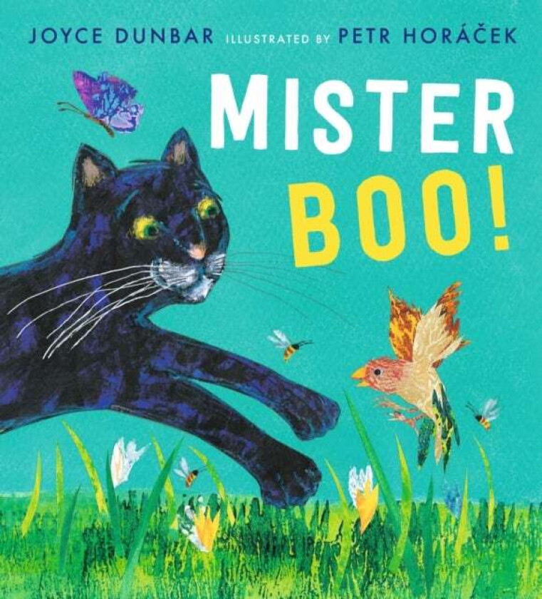 Mister Boo! av Joyce Dunbar