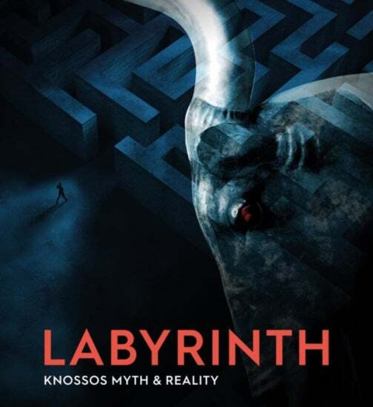 Labyrinth av Andrew Shapland
