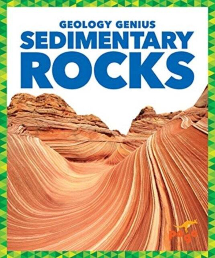 Sedimentary Rocks av Rebecca Pettiford