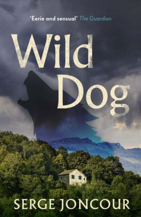 Wild Dog: Sinister and savage psychological thriller av Serge Joncour