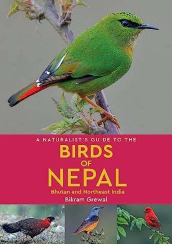 A Naturalist&#039;s Guide to the Birds of Nepal av Bikram Grewal