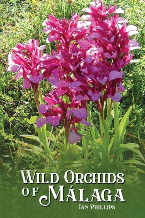 Wild Orchids of Malaga av Ian Phillips