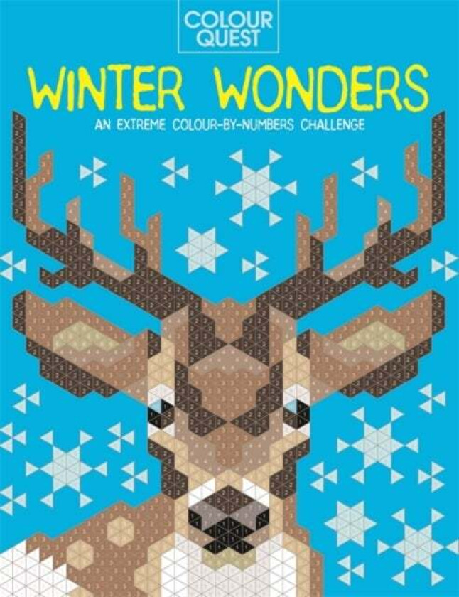 Colour Quest¿: Winter Wonders av Daniela Geremia, Lauren Farnsworth