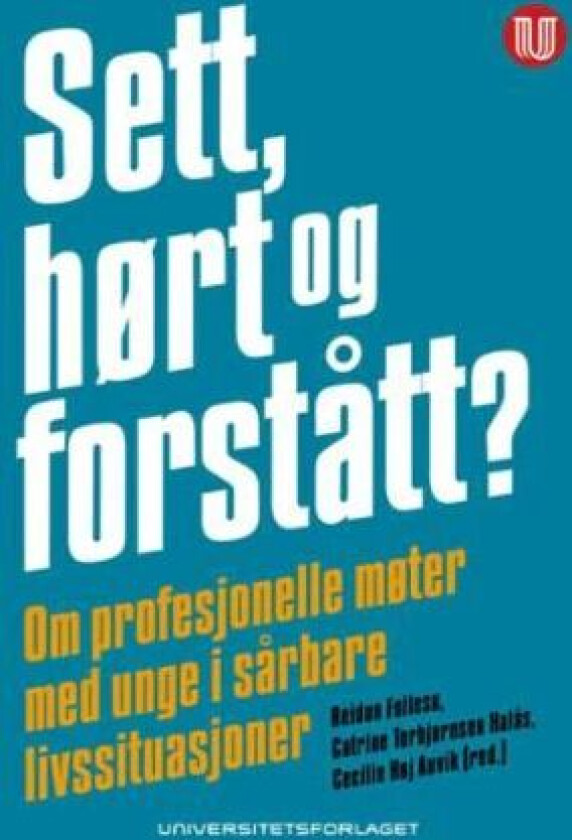 Sett, hørt og forstått?