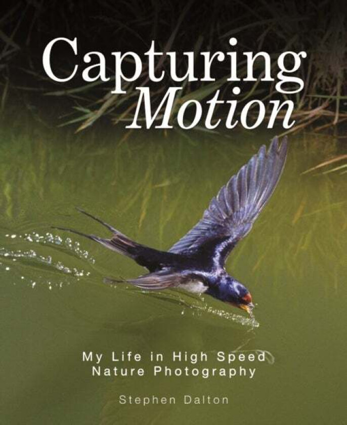 Capturing Motion: My Life in High Speed Nature Photography av Stephen Dalton