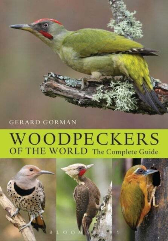 Woodpeckers of the World av Gerard Gorman