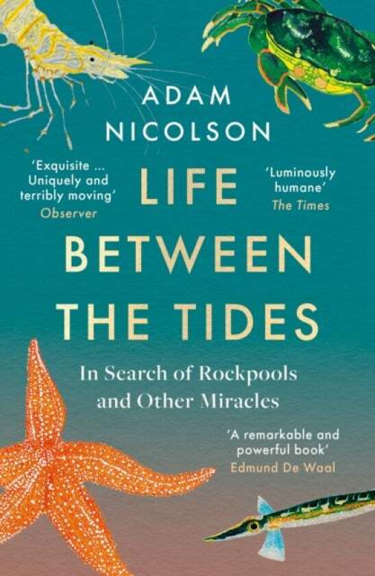 Life Between the Tides av Adam Nicolson