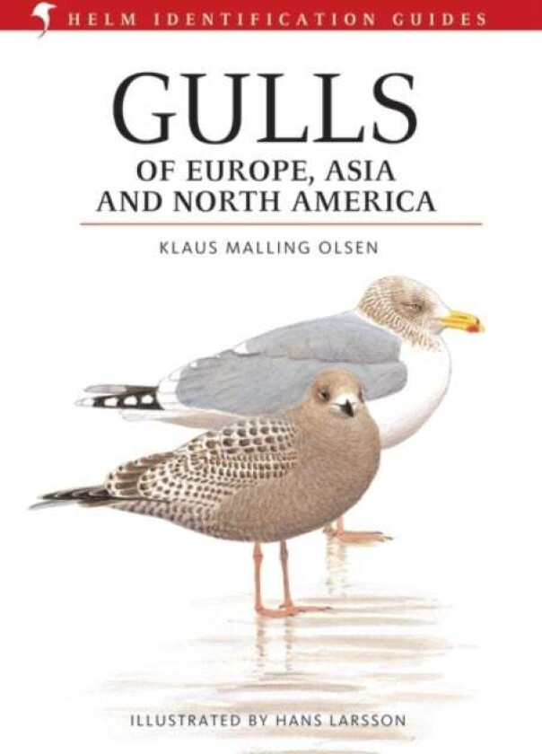 Gulls of Europe, Asia and North America av Klaus Malling Olsen
